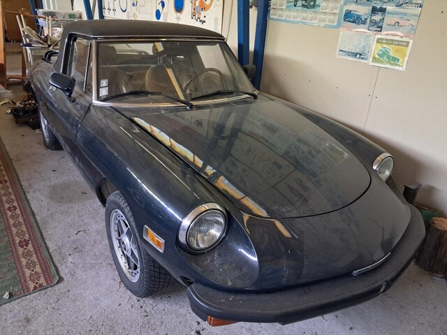 Alfa Romeo Spider