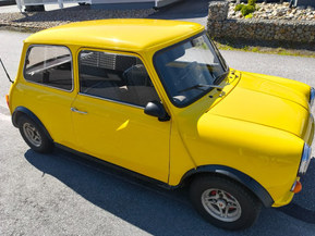 Morris Mini