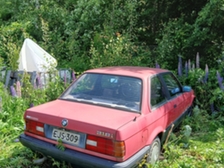 BMW 316