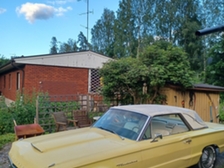 Ford Thunderbird