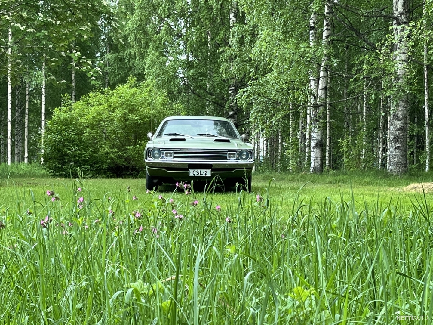 6 / 12