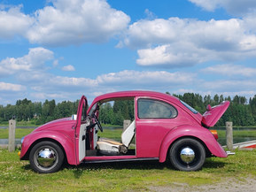 Volkswagen Kupla