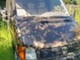 Volkswagen LT