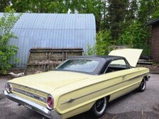 Ford Galaxie