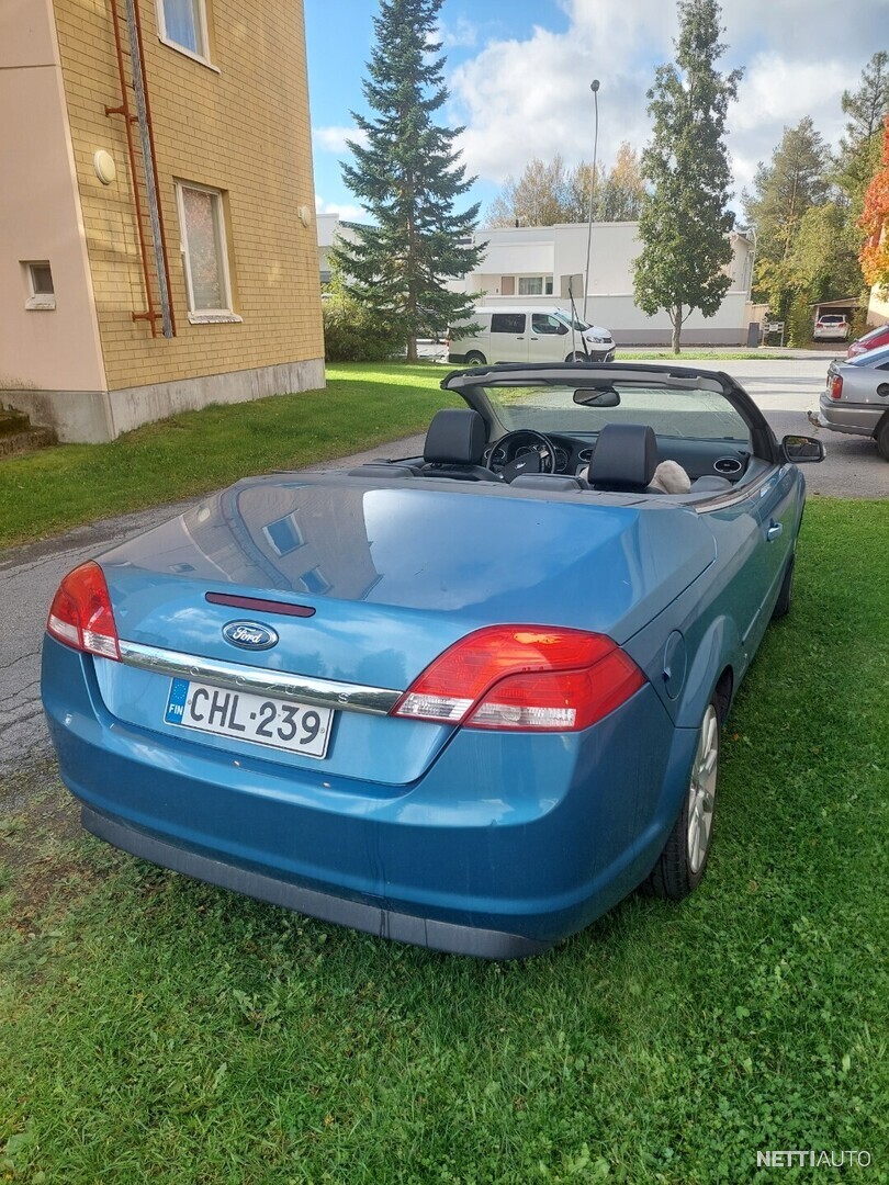 19 / 19