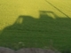 Mercedes-Benz Vario