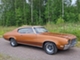 Buick Skylark