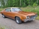 Buick Skylark
