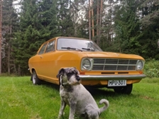 Opel Kadett