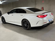 Mercedes-Benz CLS 53 AMG