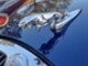 Jaguar S-Type