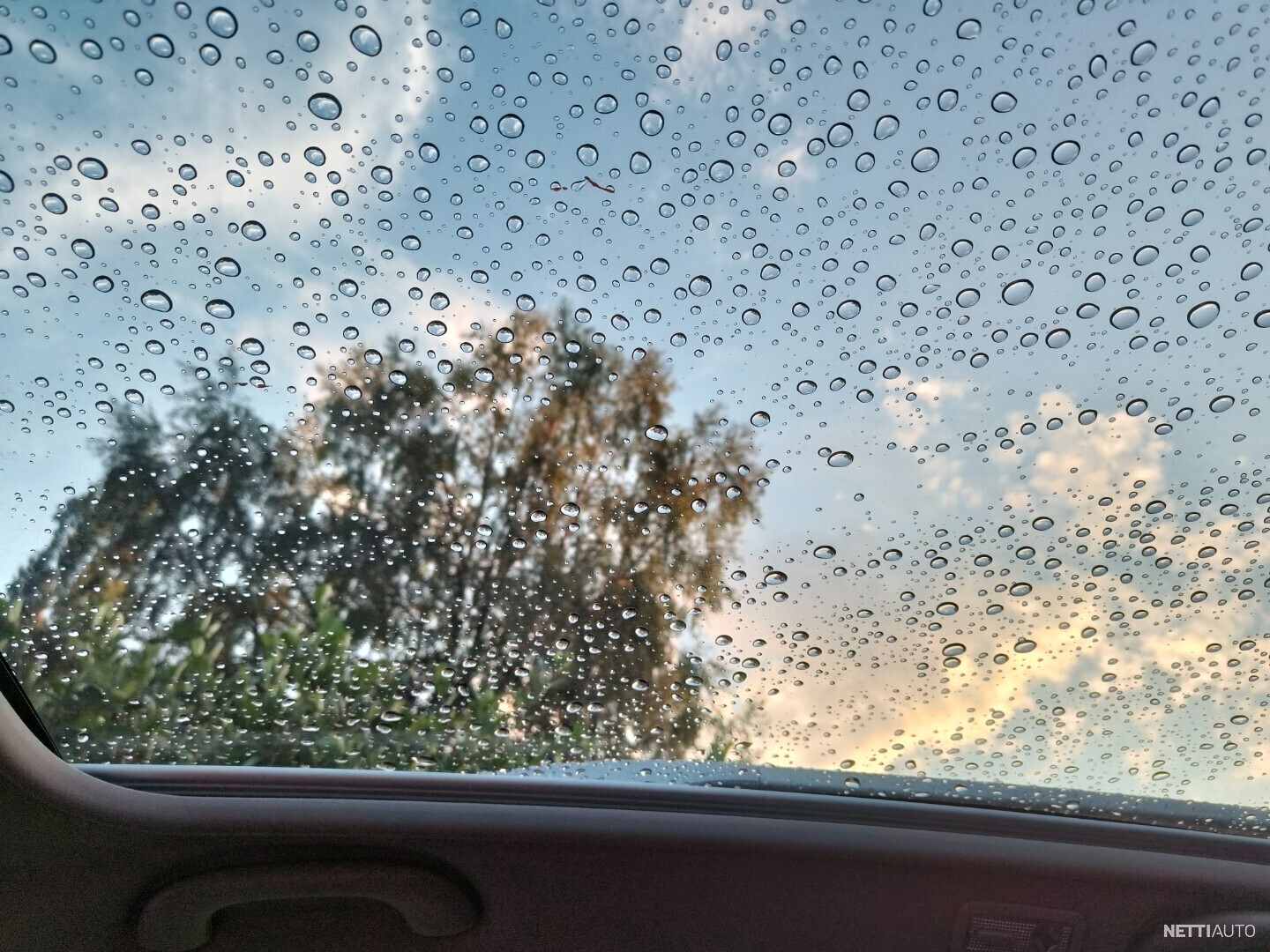 9 / 9