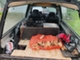 Volvo 740