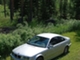 BMW 323