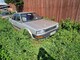 Nissan Bluebird