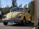 Volkswagen Kupla