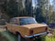 FSO 125P