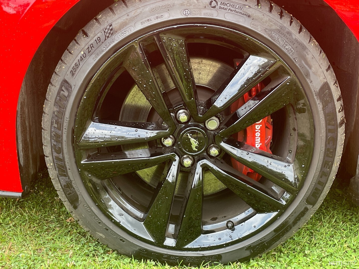 5 / 9