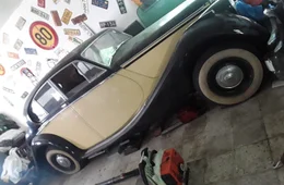 Jaguar Muu