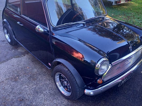 MINI 1000