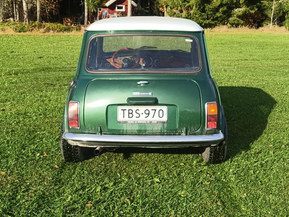 MINI 1300