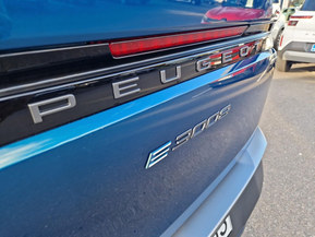 Peugeot e-3008