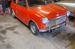 MINI 1000
