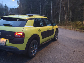 Citroen C4 Cactus