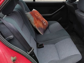 Peugeot 306