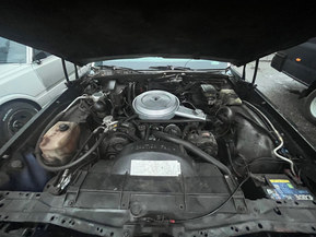 Chevrolet Caprice