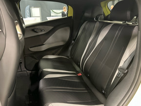 BYD Dolphin Surf