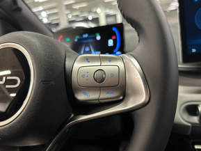 BYD Dolphin Surf