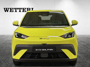 BYD Dolphin Surf