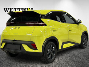 BYD Dolphin Surf