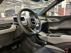 BYD Dolphin Surf