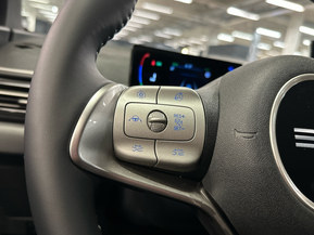 BYD Dolphin Surf