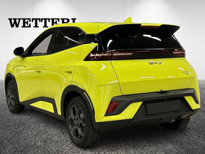 BYD Dolphin Surf