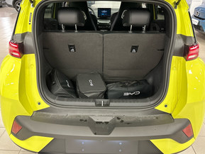 BYD Dolphin Surf