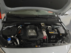 Hyundai Ioniq Electric