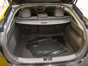 Hyundai Ioniq Electric