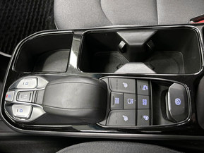 Hyundai Ioniq Electric