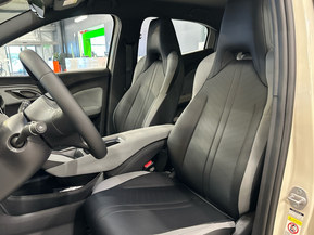 BYD Dolphin Surf