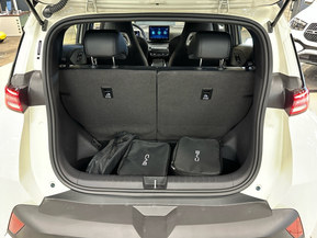 BYD Dolphin Surf