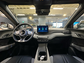 BYD Dolphin Surf