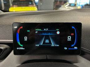 BYD Dolphin Surf