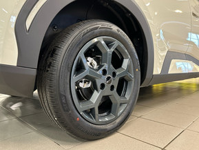 BYD Dolphin Surf