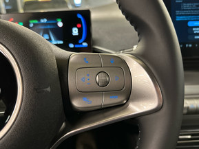 BYD Dolphin Surf