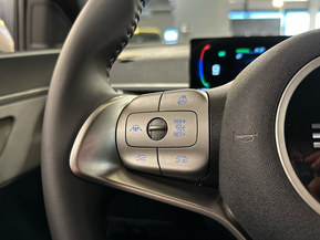 BYD Dolphin Surf