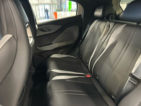 BYD Dolphin Surf