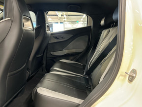 BYD Dolphin Surf